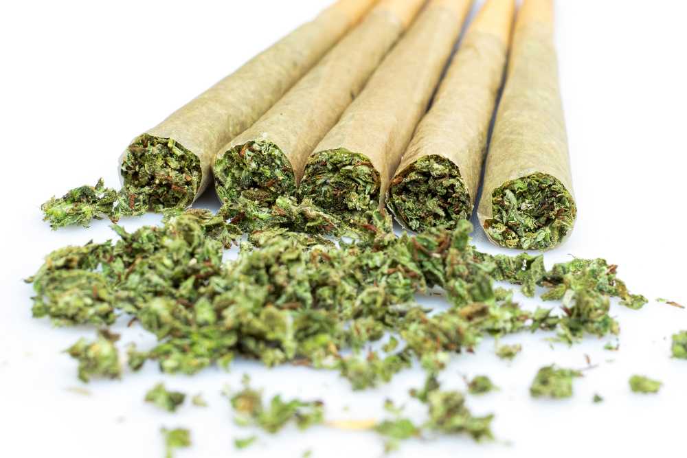 closeup shot of cannabis flower ground and joints