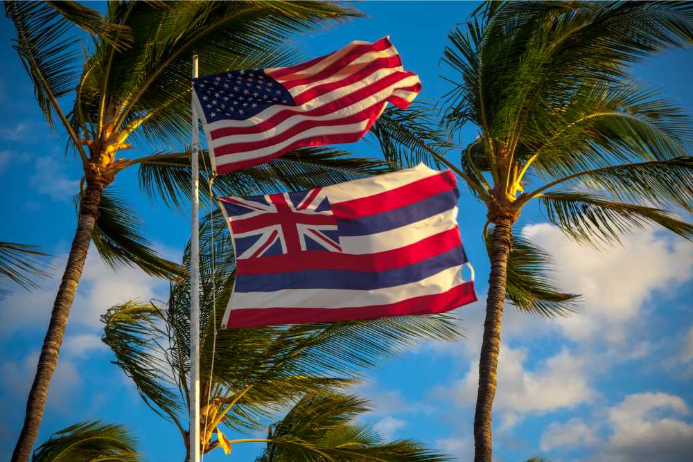 hawaii and american flags billowing against palm trees