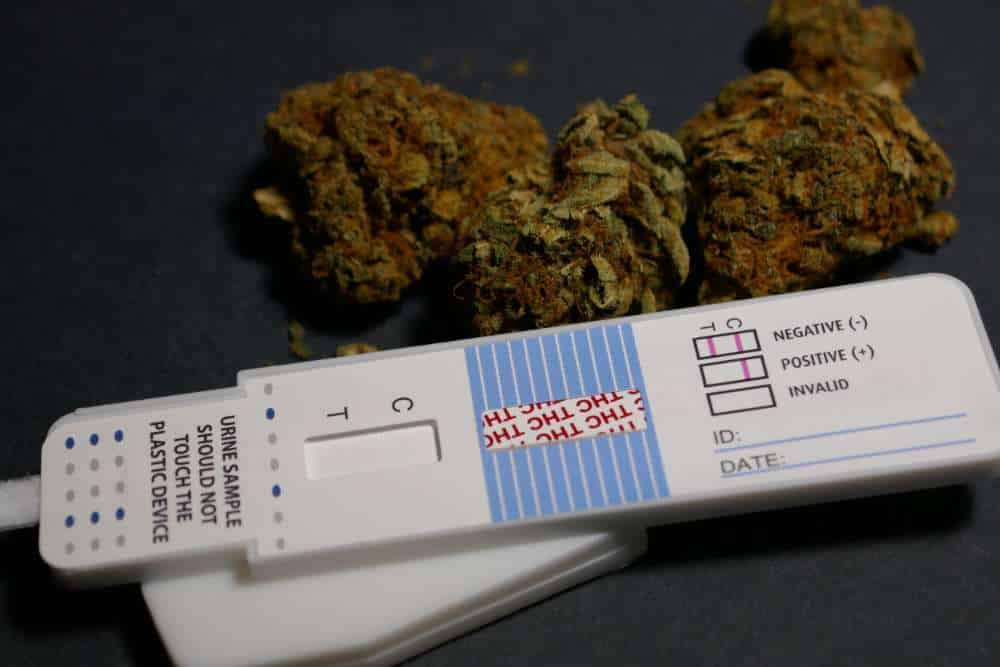 closeup of thc drug test and cannabis flower