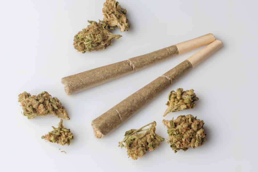 closeup of two joints with cannabis flower