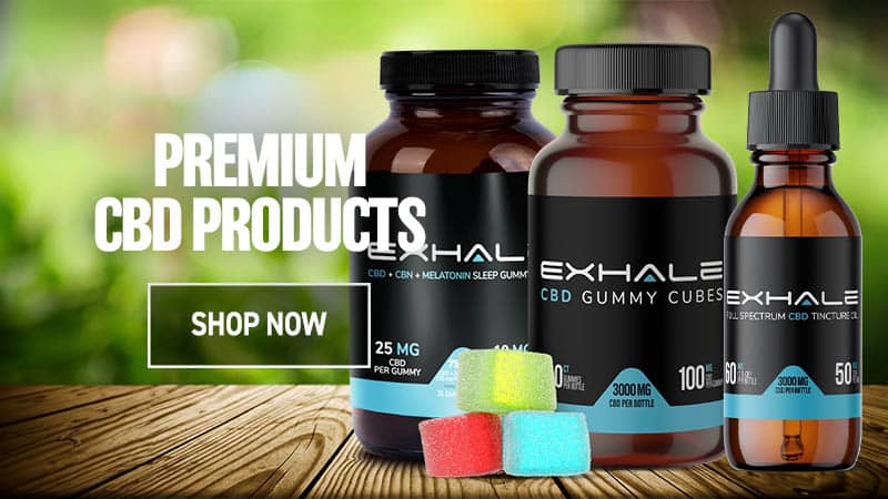 premium cbd products shop now blog cta