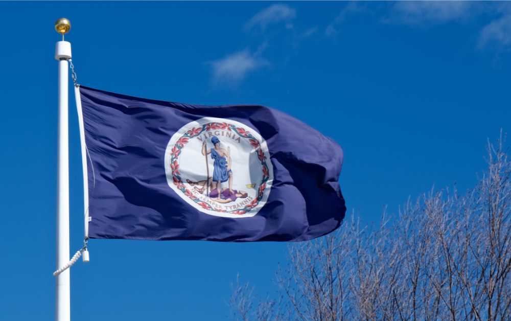 virginia state flag billowing in wind