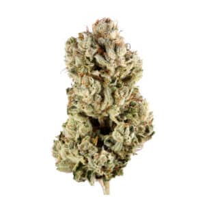 Gorilla Glue - THCa Flower