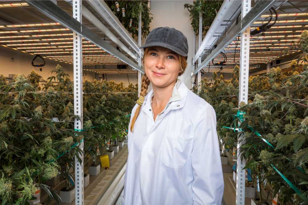 smiling blonde women in cannabis grow room