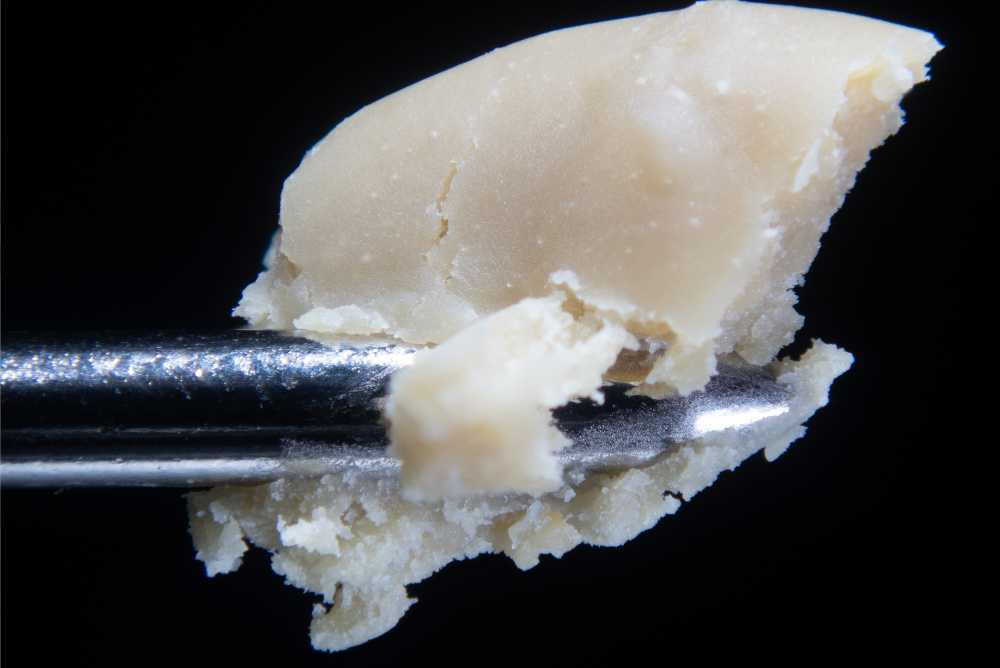 extreme closeup of live rosin held between tweezers