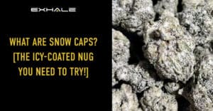 snow caps weed