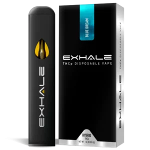 THCP Disposable Vape