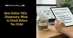 Best Online THCa Dispensary: What to Check Before You Order