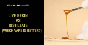 Live Resin vs Distillate