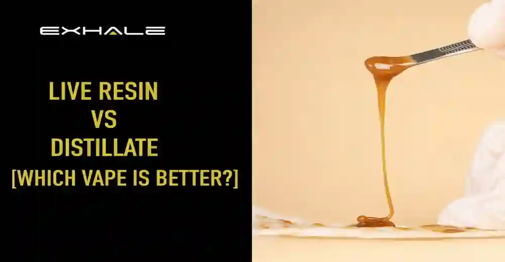 Live Resin vs Distillate