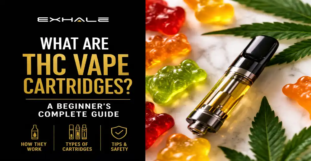 THC vape Cartridges Guide 2026