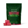 exhale wellness high potency mushroom gummies 3 fat gummies