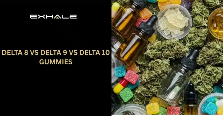 Delta 8 vs Delta 9 vs Delta 10 Gummies Which THC Is Right for You