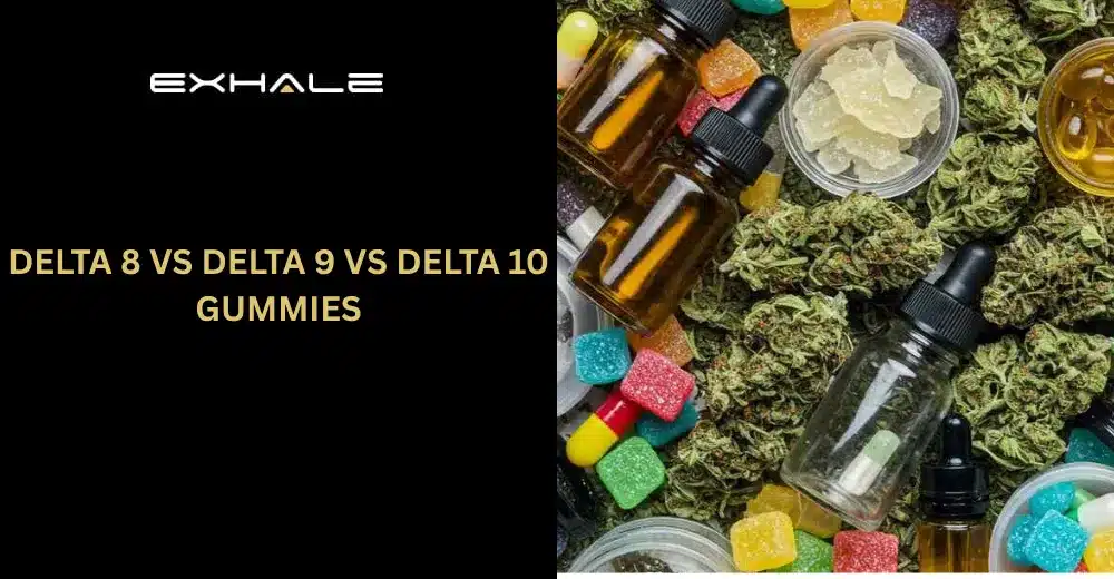 Delta 8 vs Delta 9 vs Delta 10 Gummies Which THC Is Right for You
