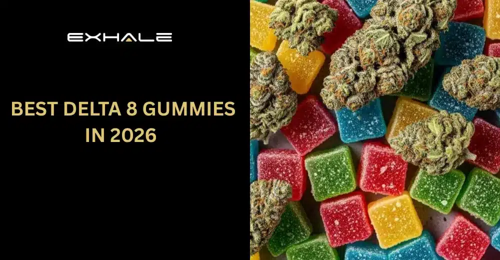 Best Delta 8 Gummies in 2026