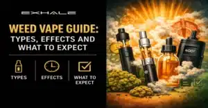 Weed Vape Guide Types, Effects and What to Expect