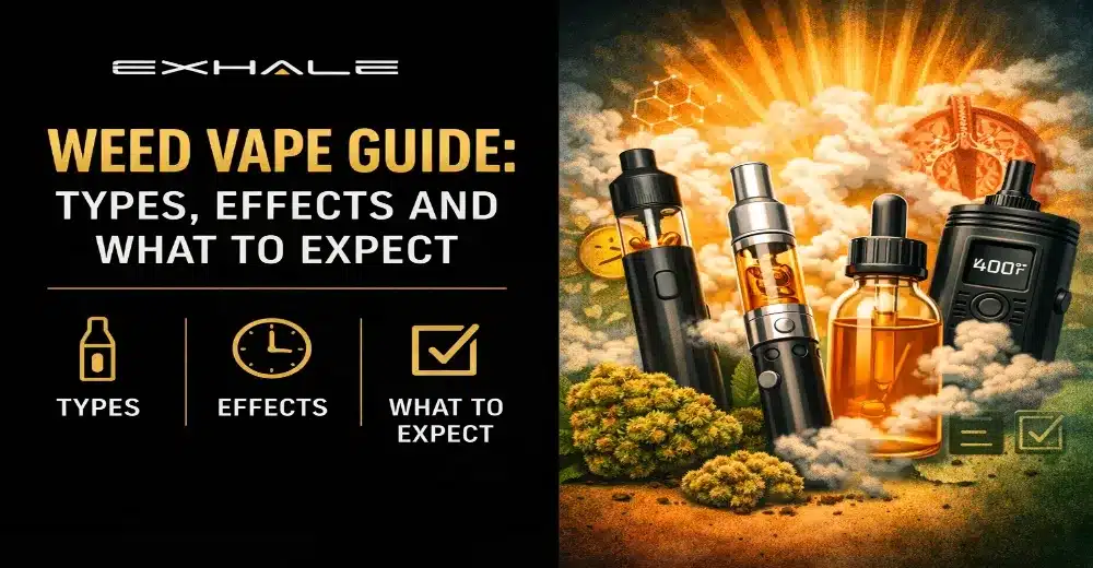 Weed Vape Guide Types, Effects and What to Expect