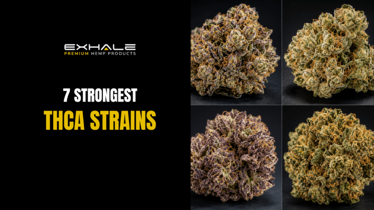 Strongest THCA Strains