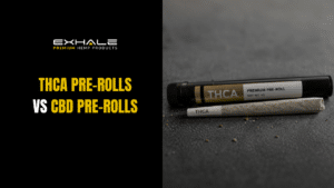 THCA Pre-Rolls vs CBD Pre-Rolls