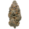 Orange Apricot MAC - THCa Flower