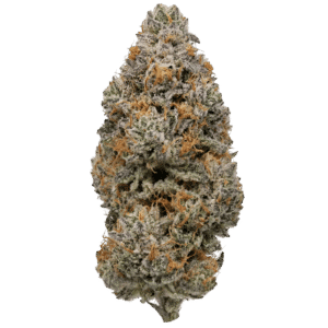 Orange Apricot MAC - THCa Flower