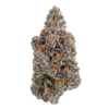 Purple Urkle - THCa Flower