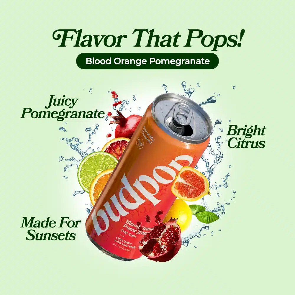 blood orange pomegranate thc soda flavor profile